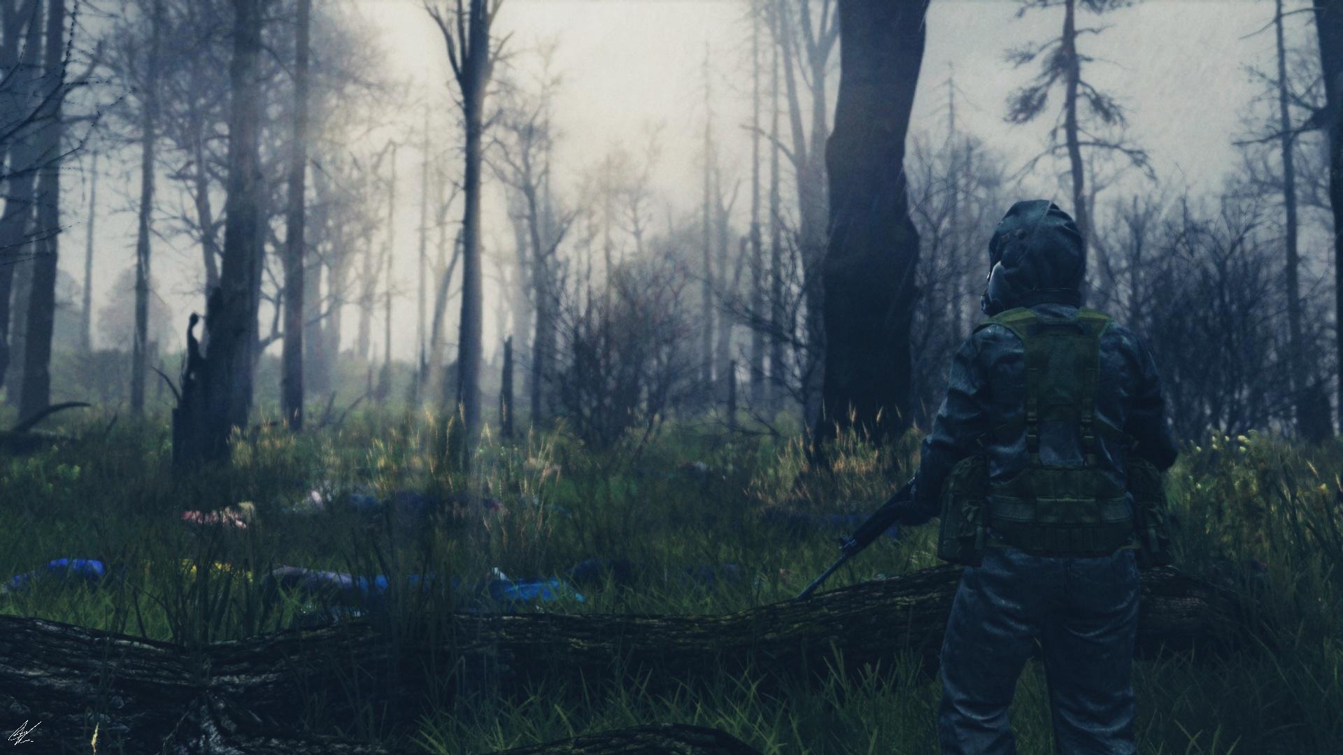DayZ Hintergrund